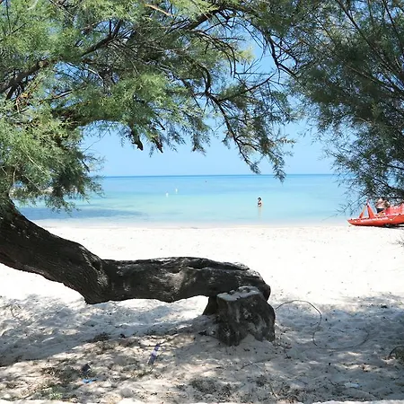 Veccari A Lido